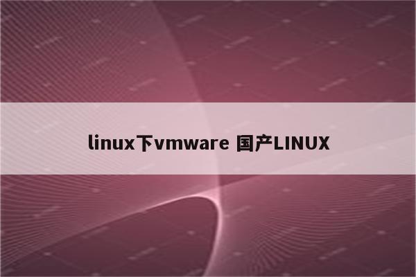 linux下vmware 国产LINUX