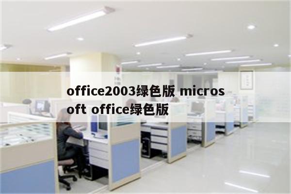 office2003绿色版 microsoft office绿色版