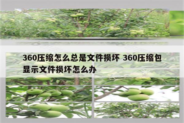 360压缩怎么总是文件损坏 360压缩包显示文件损坏怎么办