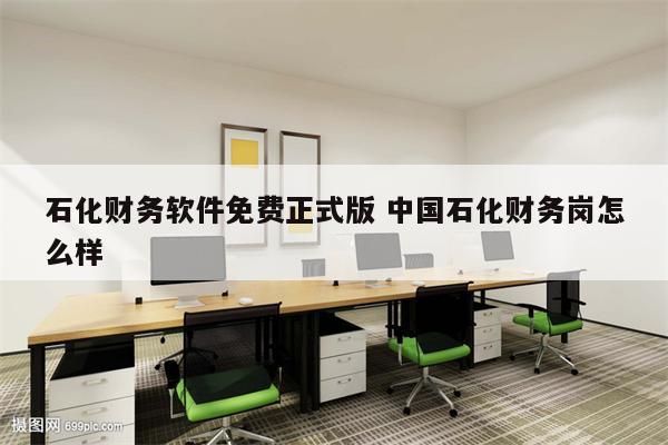 石化财务软件免费正式版 中国石化财务岗怎么样