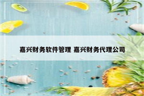 嘉兴财务软件管理 嘉兴财务代理公司