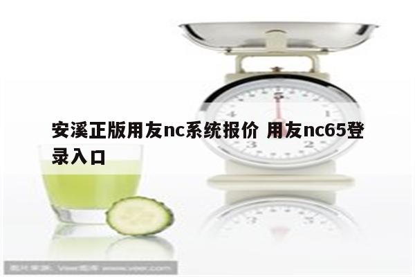 安溪正版用友nc系统报价 用友nc65登录入口