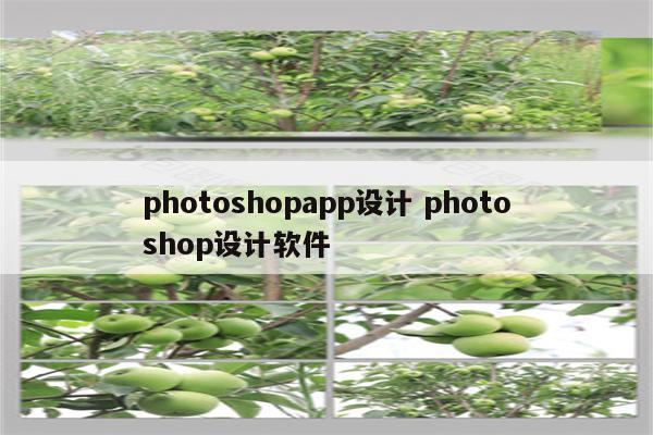 photoshopapp设计 photoshop设计软件