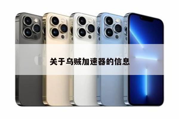 关于乌贼加速器的信息