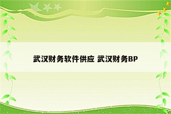 武汉财务软件供应 武汉财务BP