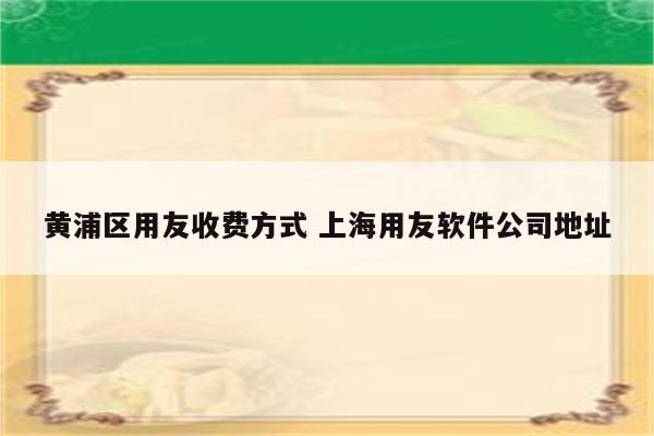 黄浦区用友收费方式 上海用友软件公司地址