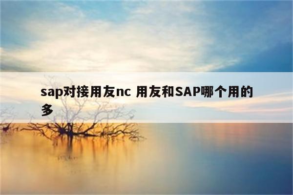 sap对接用友nc 用友和SAP哪个用的多