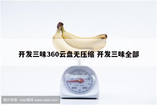 开发三味360云盘无压缩 开发三味全部