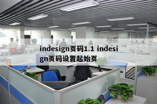 indesign页码1.1 indesign页码设置起始页
