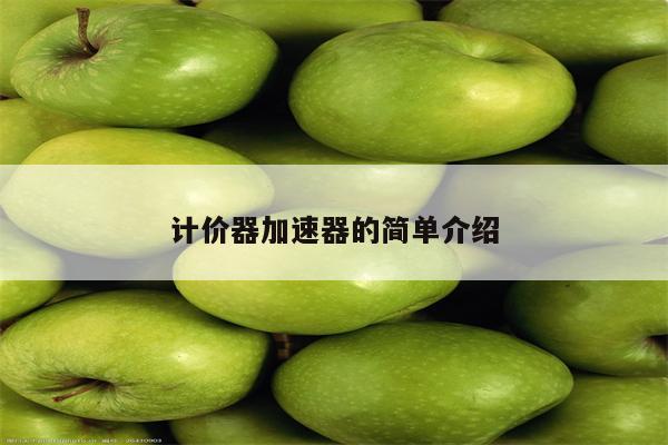 计价器加速器的简单介绍