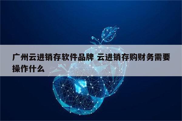 广州云进销存软件品牌 云进销存购财务需要操作什么