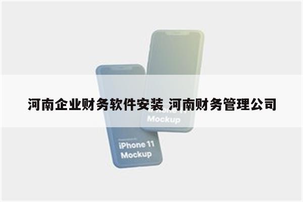 河南企业财务软件安装 河南财务管理公司