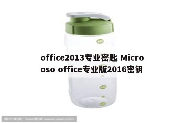 office2013专业密匙 Microoso office专业版2016密钥