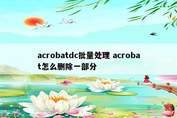 acrobatdc批量处理 acrobat怎么删除一部分