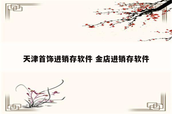天津首饰进销存软件 金店进销存软件