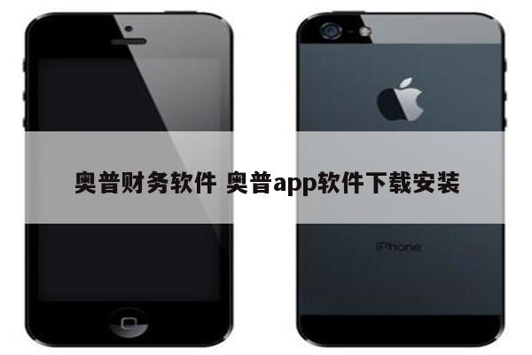 奥普财务软件 奥普app软件下载安装