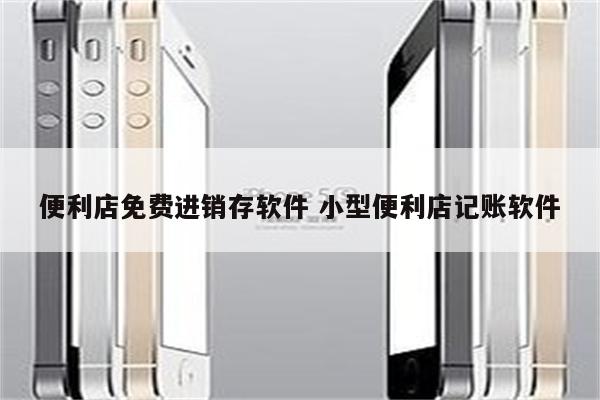 便利店免费进销存软件 小型便利店记账软件