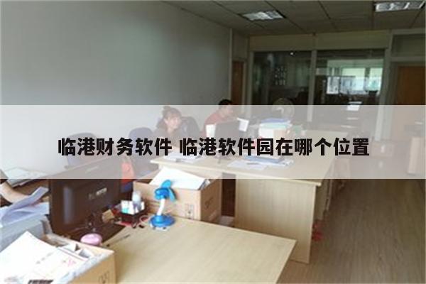 临港财务软件 临港软件园在哪个位置