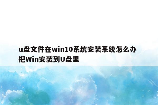 u盘文件在win10系统安装系统怎么办 把Win安装到U盘里