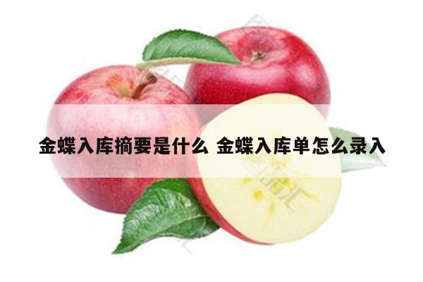 金蝶入库摘要是什么 金蝶入库单怎么录入