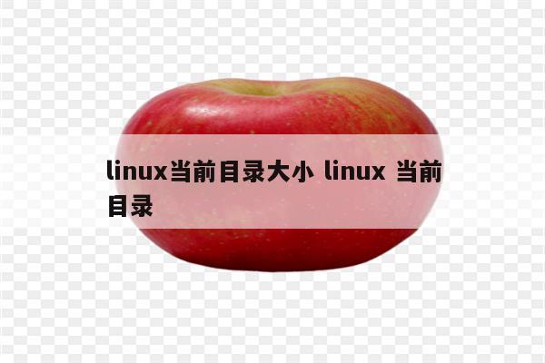 linux当前目录大小 linux 当前目录
