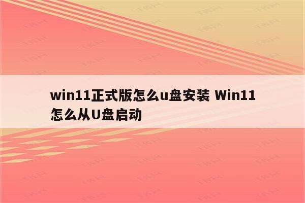 win11正式版怎么u盘安装 Win11怎么从U盘启动