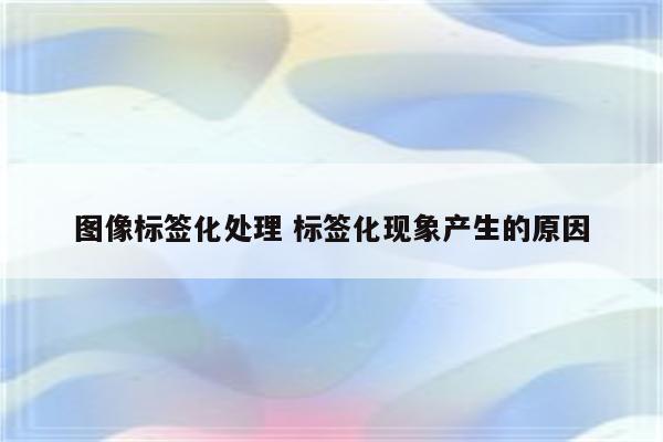 图像标签化处理 标签化现象产生的原因