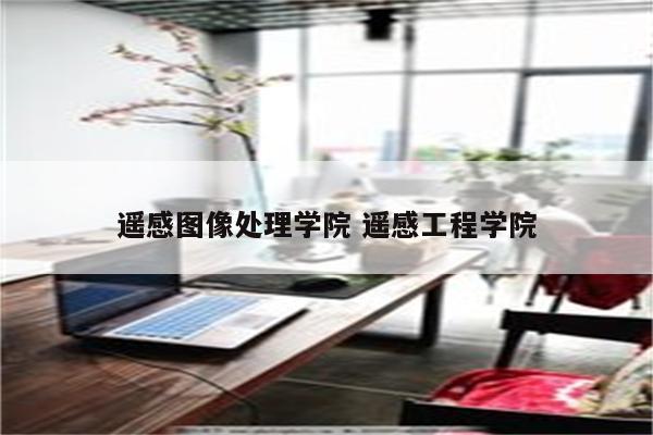 遥感图像处理学院 遥感工程学院