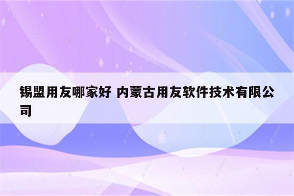 锡盟用友哪家好 内蒙古用友软件技术有限公司