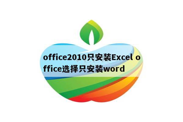 office2010只安装Excel office选择只安装word