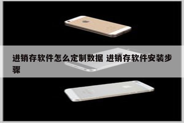 进销存软件怎么定制数据 进销存软件安装步骤