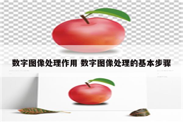 数字图像处理作用 数字图像处理的基本步骤