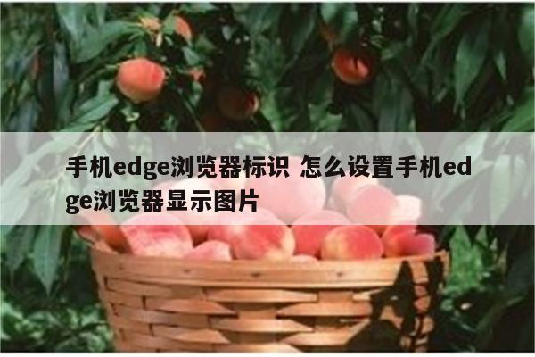 手机edge浏览器标识 怎么设置手机edge浏览器显示图片