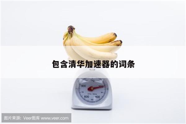 包含清华加速器的词条