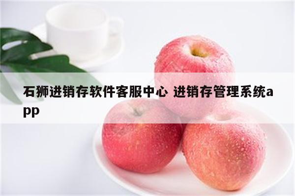 石狮进销存软件客服中心 进销存管理系统app