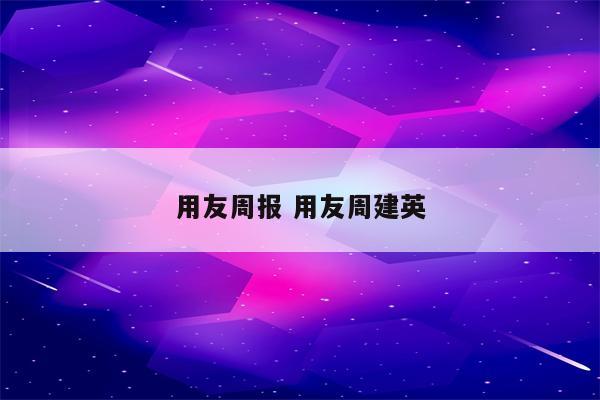 用友周报 用友周建英