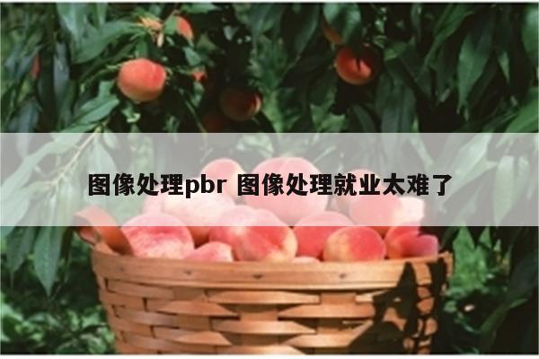 图像处理pbr 图像处理就业太难了