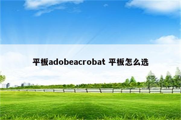 平板adobeacrobat 平板怎么选