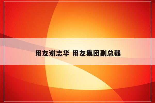 用友谢志华 用友集团副总裁