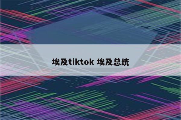 埃及tiktok 埃及总统