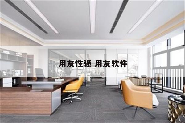用友性骚 用友软件