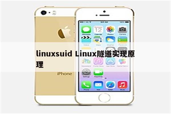 linuxsuid Linux隧道实现原理