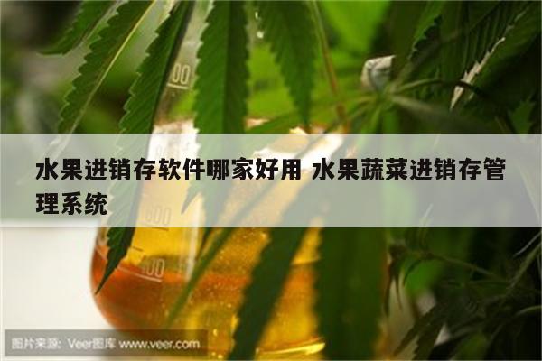 水果进销存软件哪家好用 水果蔬菜进销存管理系统