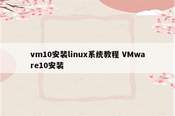 vm10安装linux系统教程 VMware10安装