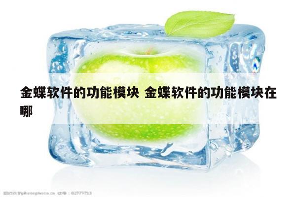 金蝶软件的功能模块 金蝶软件的功能模块在哪