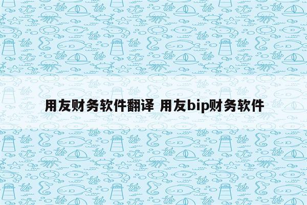 用友财务软件翻译 用友bip财务软件