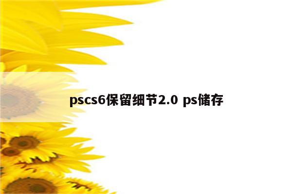 pscs6保留细节2.0 ps储存