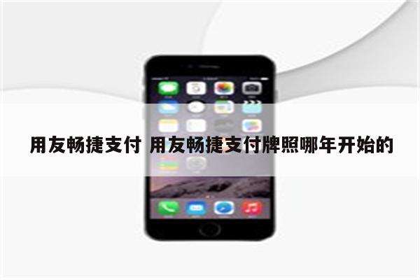 用友畅捷支付 用友畅捷支付牌照哪年开始的