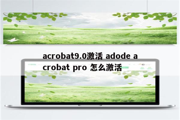acrobat9.0激活 adode acrobat pro 怎么激活