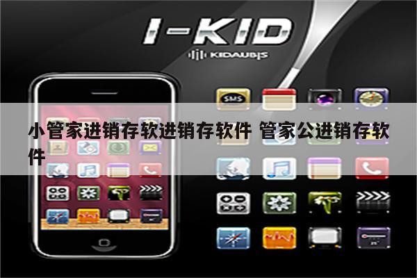 小管家进销存软进销存软件 管家公进销存软件